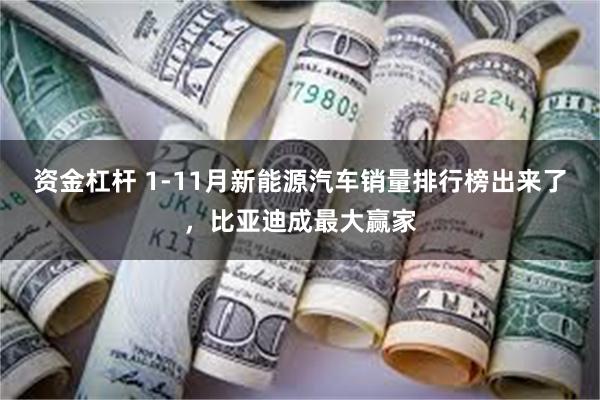 资金杠杆 1-11月新能源汽车销量排行榜出来了，比亚迪成最大赢家