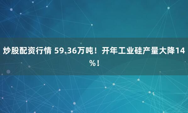 炒股配资行情 59.36万吨！开年工业硅产量大降14%！